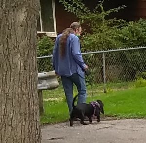 a man with a long pony tail going down his back and wearing a mask, in blue jeans and a blue shirt, is walking a black basset hound at the end of a street, near a guard rail